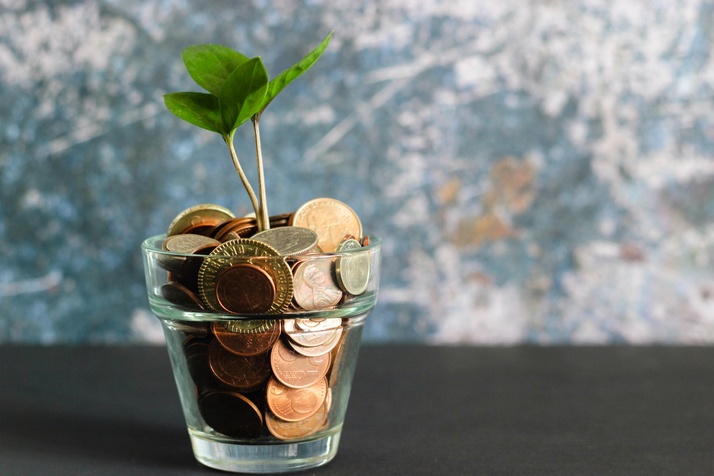 Jar of money saved with a sapling growing out of it